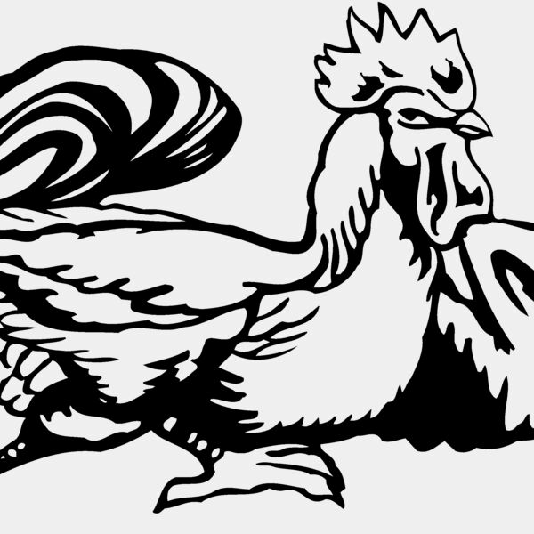 CHICK010 Thumbnail