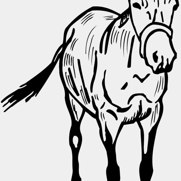 BURRO010 Thumbnail