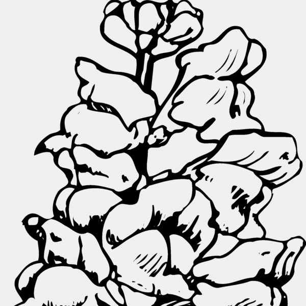 FLOWER14 Thumbnail
