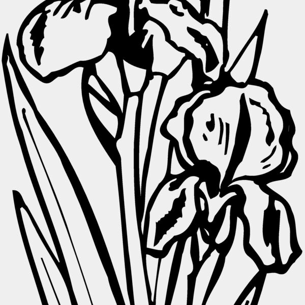 FLOWER20 Thumbnail