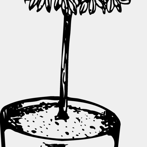 PLANT01 Thumbnail