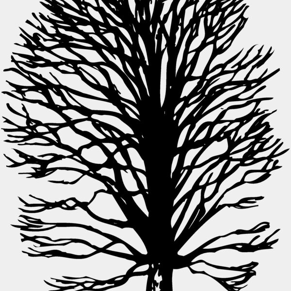 TREE0019 Thumbnail