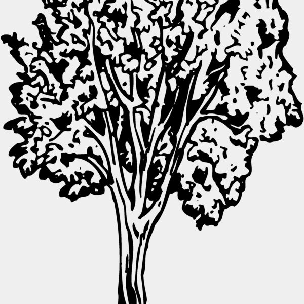 TREE0024 Thumbnail