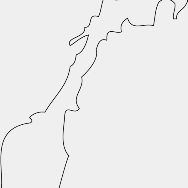 NORWEY Thumbnail