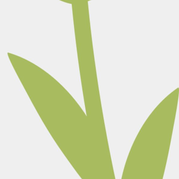 20 Flower Thumbnail