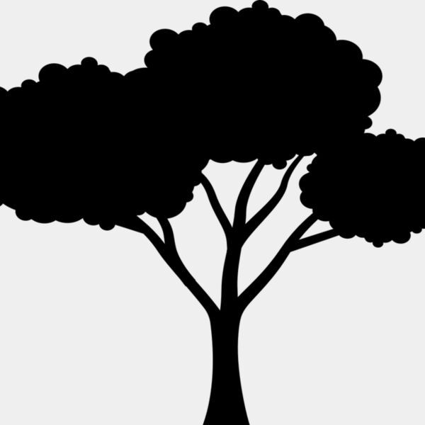 40 Tree Thumbnail
