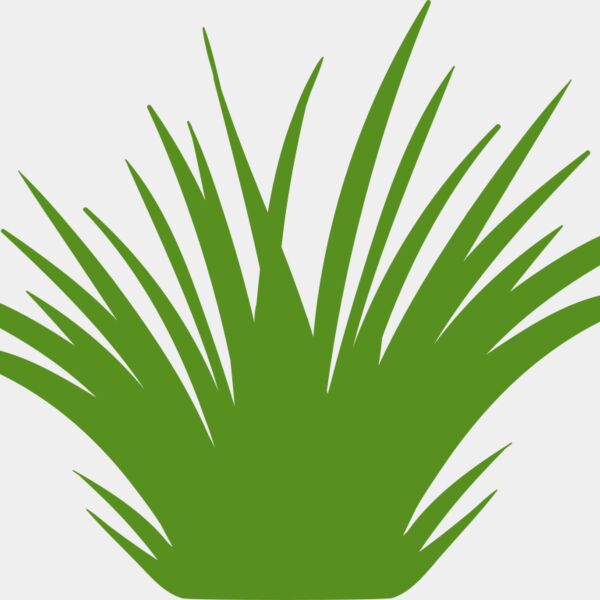 Grass 2 Thumbnail
